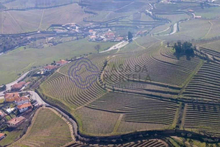 Terreno para Venda em Sande Foto 11