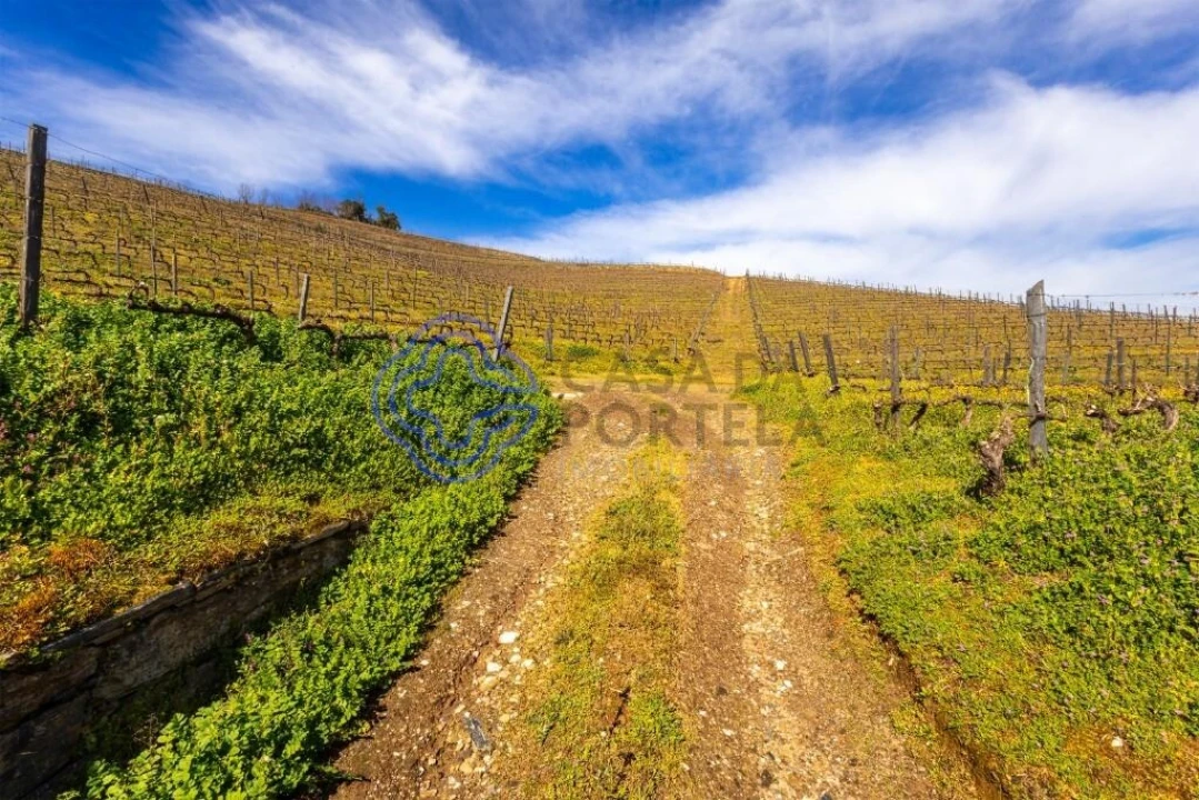 Terreno para Venda em Sande Foto 2