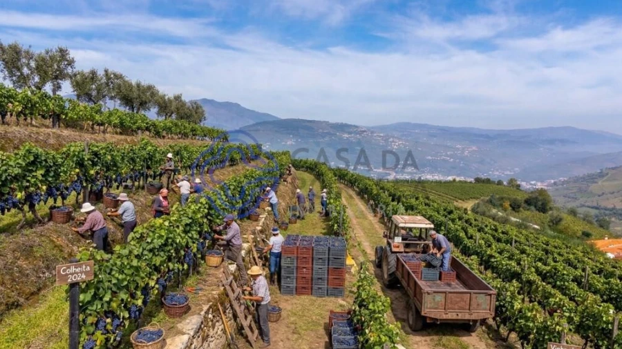 Terreno para Venda em Sande