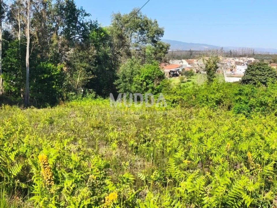 Terreno para Venda em Albergaria-A-Velha e Valmaior Foto 6