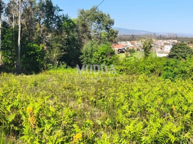 Terreno para Venda em Albergaria-A-Velha e Valmaior Foto 6