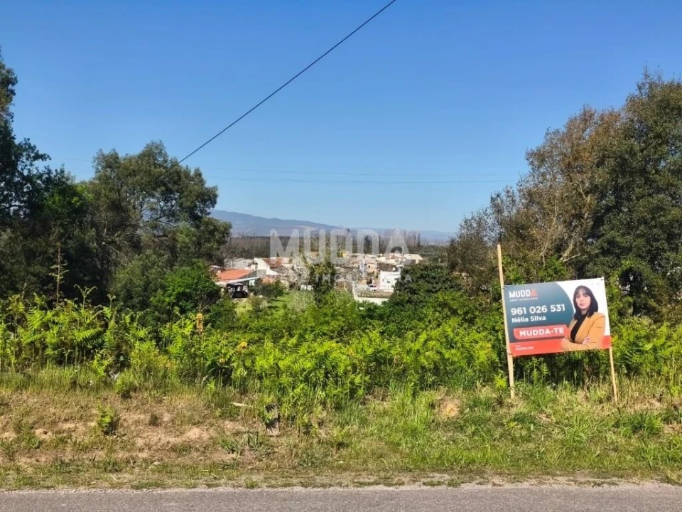 Terreno para Venda em Albergaria-A-Velha e Valmaior Foto 8