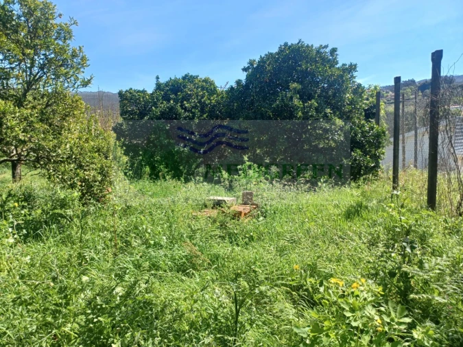 Moradia T5 para Venda em Pessegueiro do Vouga Foto 44