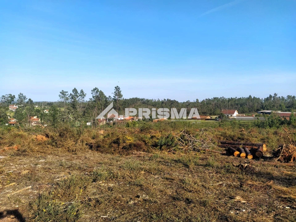 Terreno para Venda em Sarzedas Foto 19