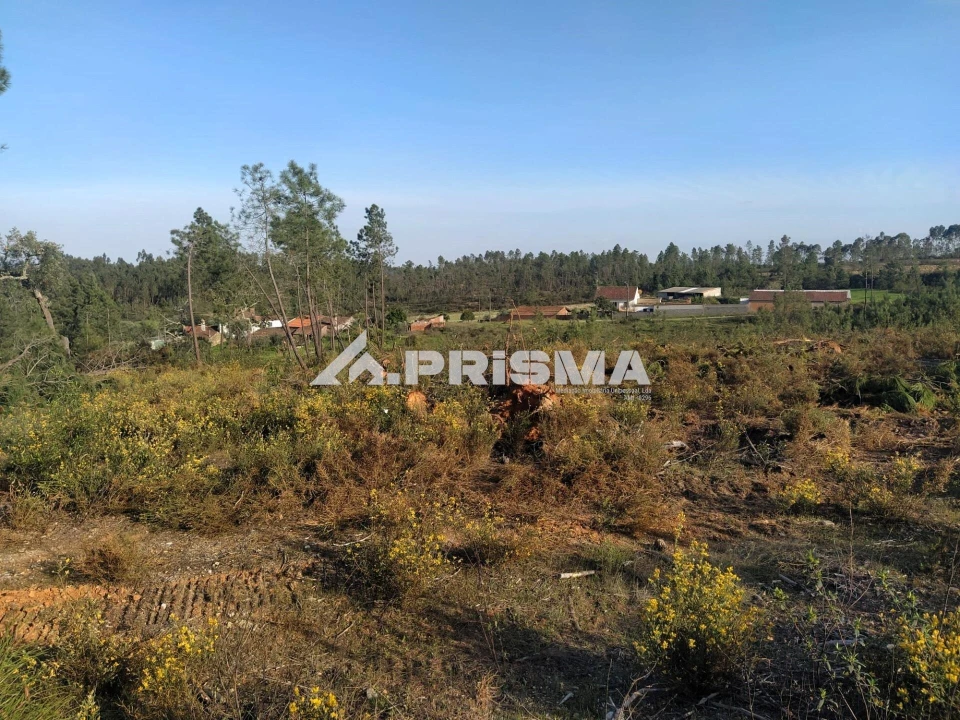 Terreno para Venda em Sarzedas Foto 22