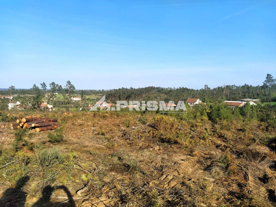 Terreno para Venda em Sarzedas Foto 38