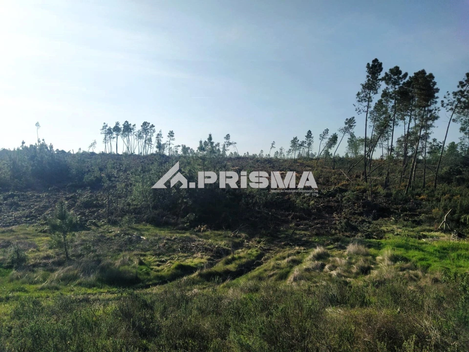 Terreno para Venda em Sarzedas Foto 17