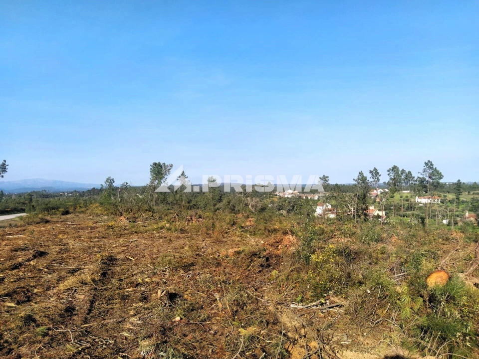 Terreno para Venda em Sarzedas Foto 33