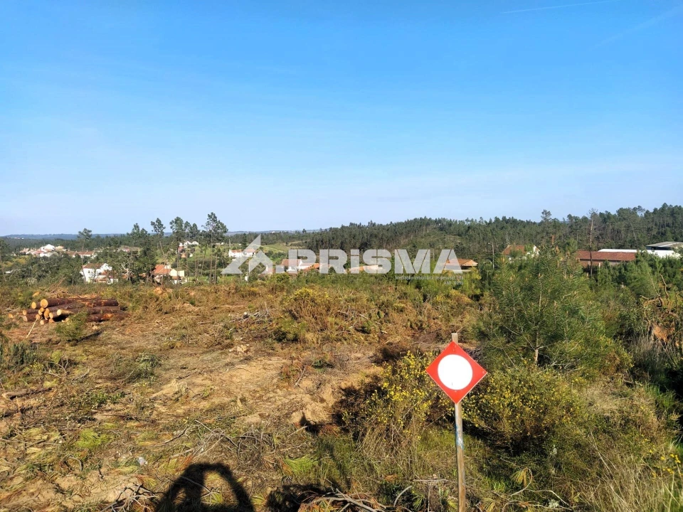 Terreno para Venda em Sarzedas Foto 40