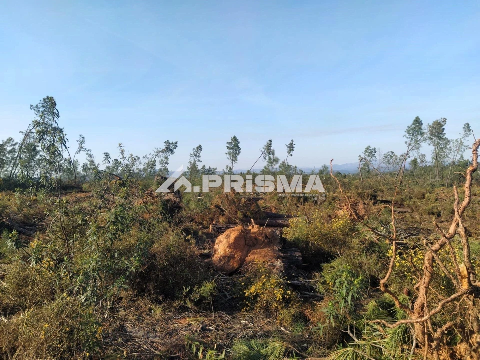 Terreno para Venda em Sarzedas Foto 27