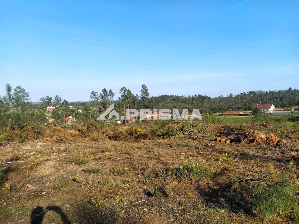 Terreno para Venda em Sarzedas Foto 23