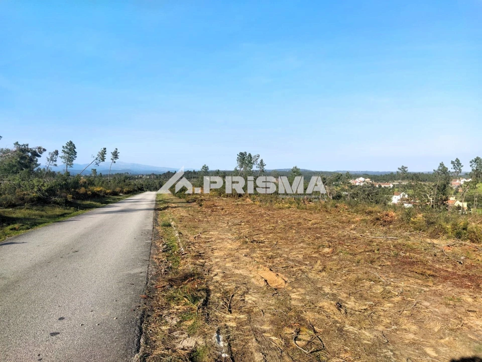 Terreno para Venda em Sarzedas Foto 36