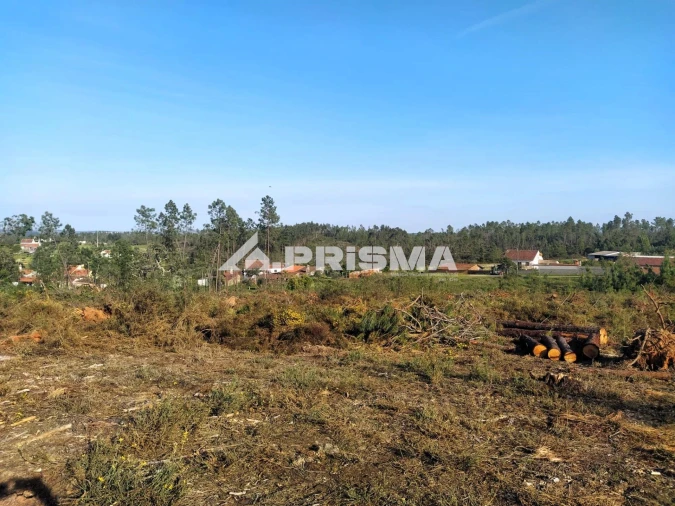 Terreno para Venda em Sarzedas Foto 19