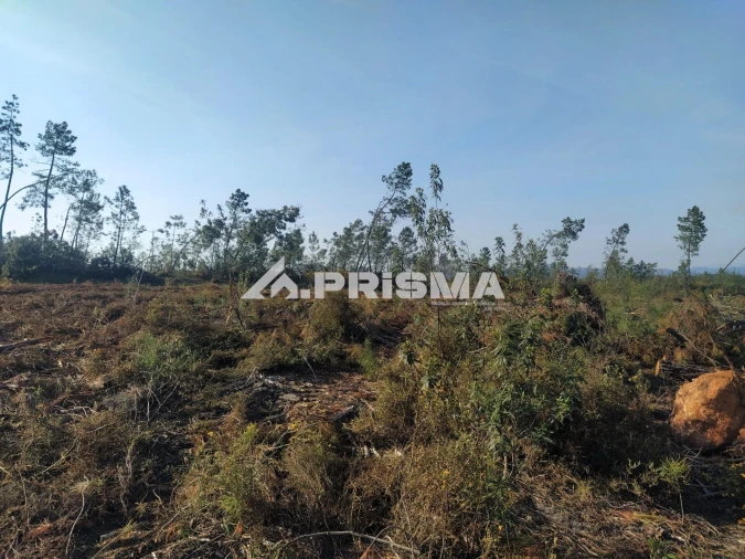 Terreno para Venda em Sarzedas Foto 26