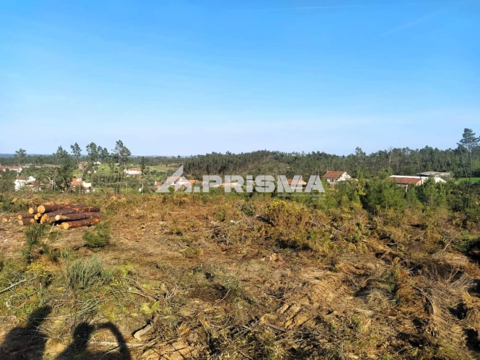 Terreno para Venda em Sarzedas Foto 38