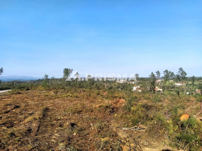 Terreno para Venda em Sarzedas Foto 33