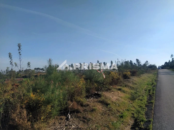 Terreno para Venda em Sarzedas Foto 20