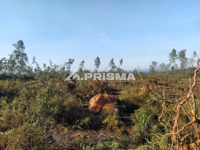 Terreno para Venda em Sarzedas Foto 27