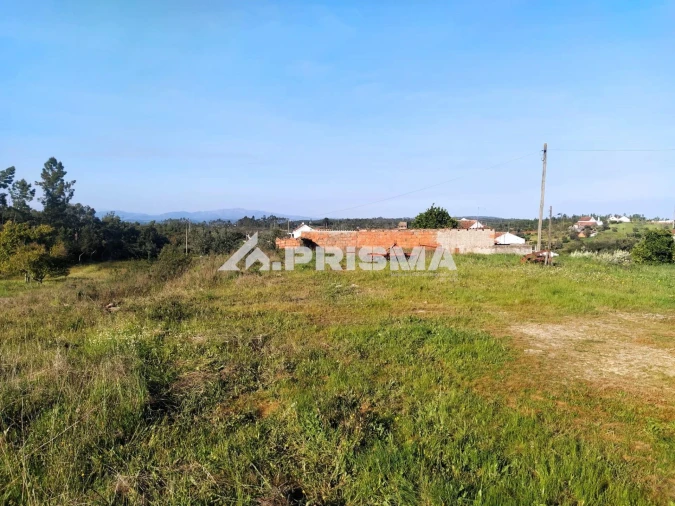 Terreno para Venda em Sarzedas