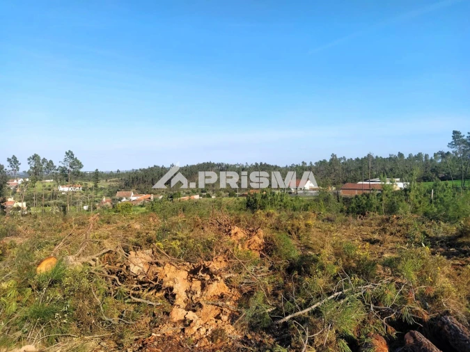 Terreno para Venda em Sarzedas Foto 35