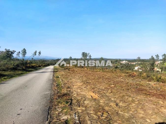 Terreno para Venda em Sarzedas Foto 36