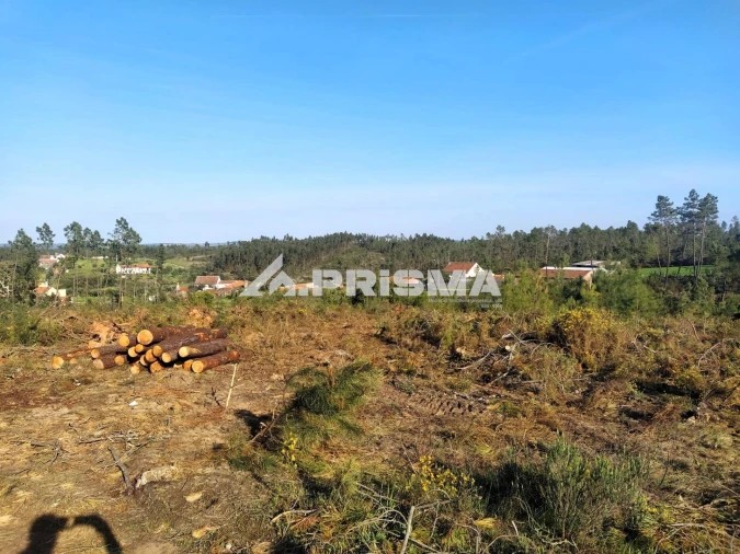 Terreno para Venda em Sarzedas Foto 37