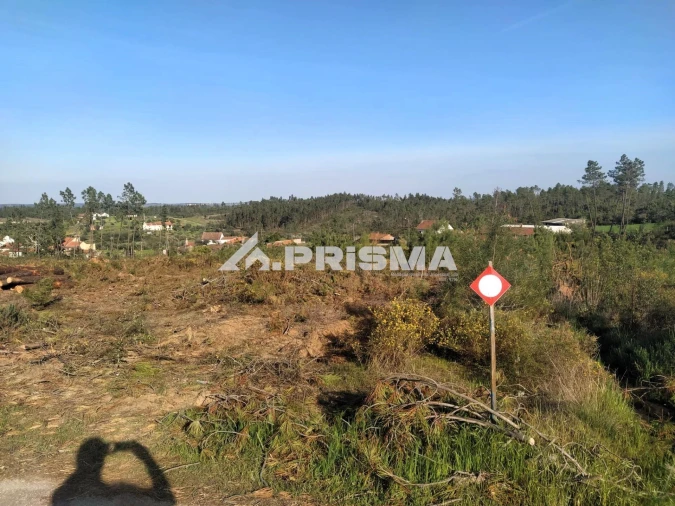 Terreno para Venda em Sarzedas Foto 39