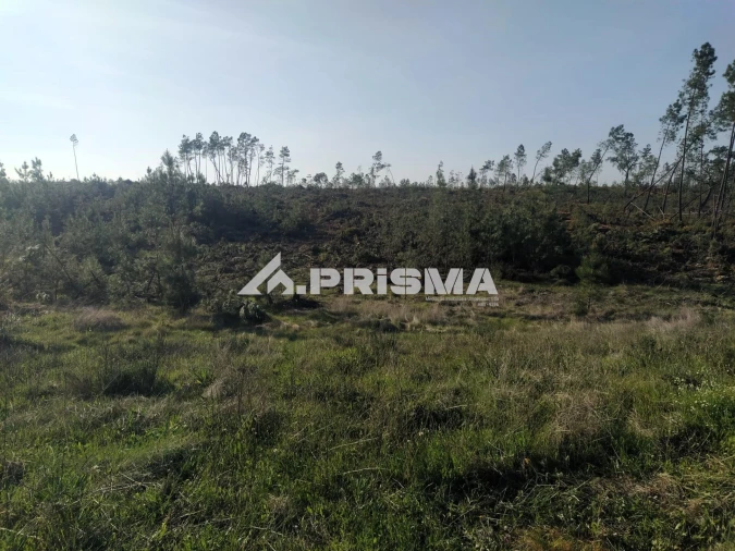 Terreno para Venda em Sarzedas Foto 18