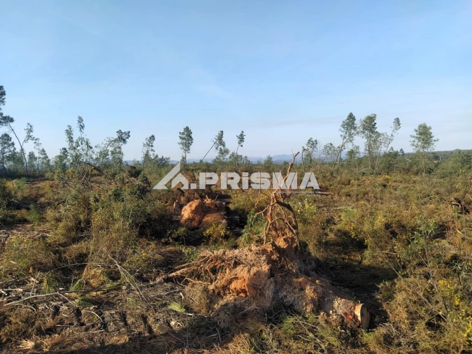 Terreno para Venda em Sarzedas Foto 28