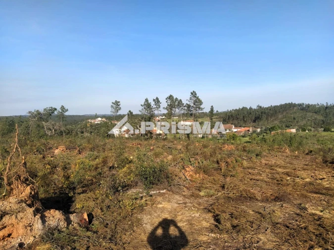 Terreno para Venda em Sarzedas Foto 30