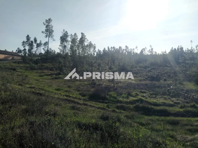 Terreno para Venda em Sarzedas Foto 14