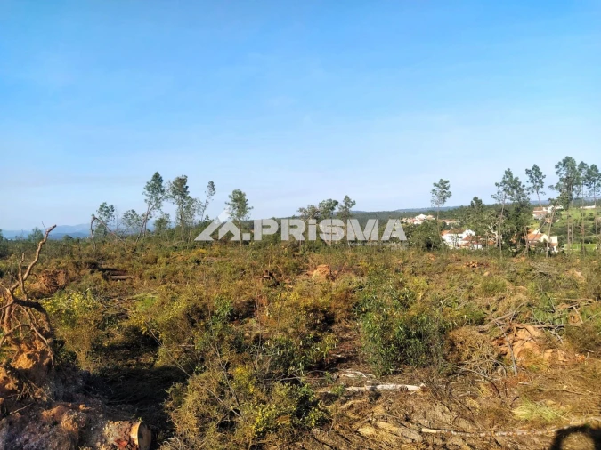 Terreno para Venda em Sarzedas Foto 29