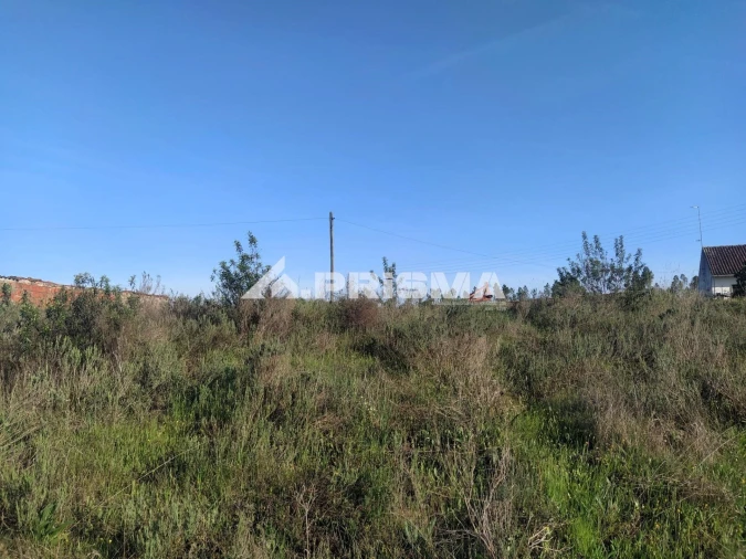 Terreno para Venda em Sarzedas Foto 11