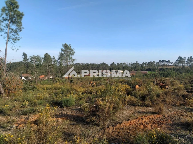 Terreno para Venda em Sarzedas Foto 21