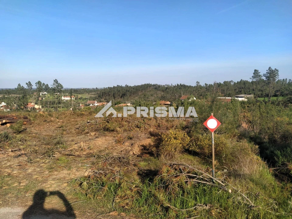 Terreno para Venda em Sarzedas Foto 39