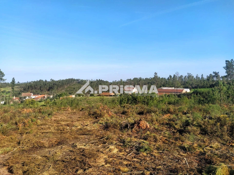 Terreno para Venda em Sarzedas Foto 31