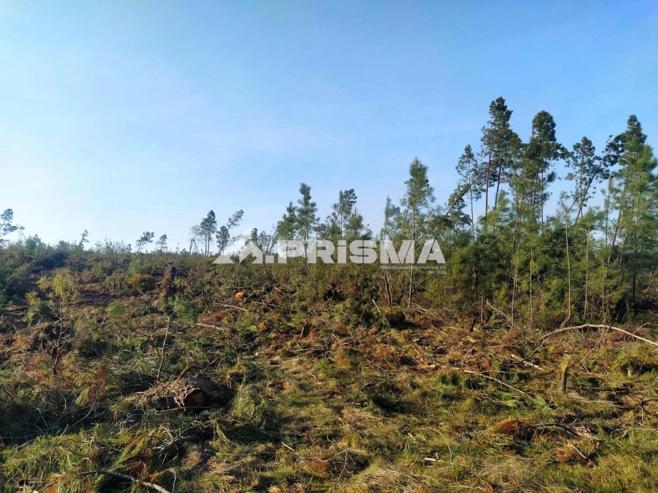 Terreno para Venda em Sarzedas Foto 7