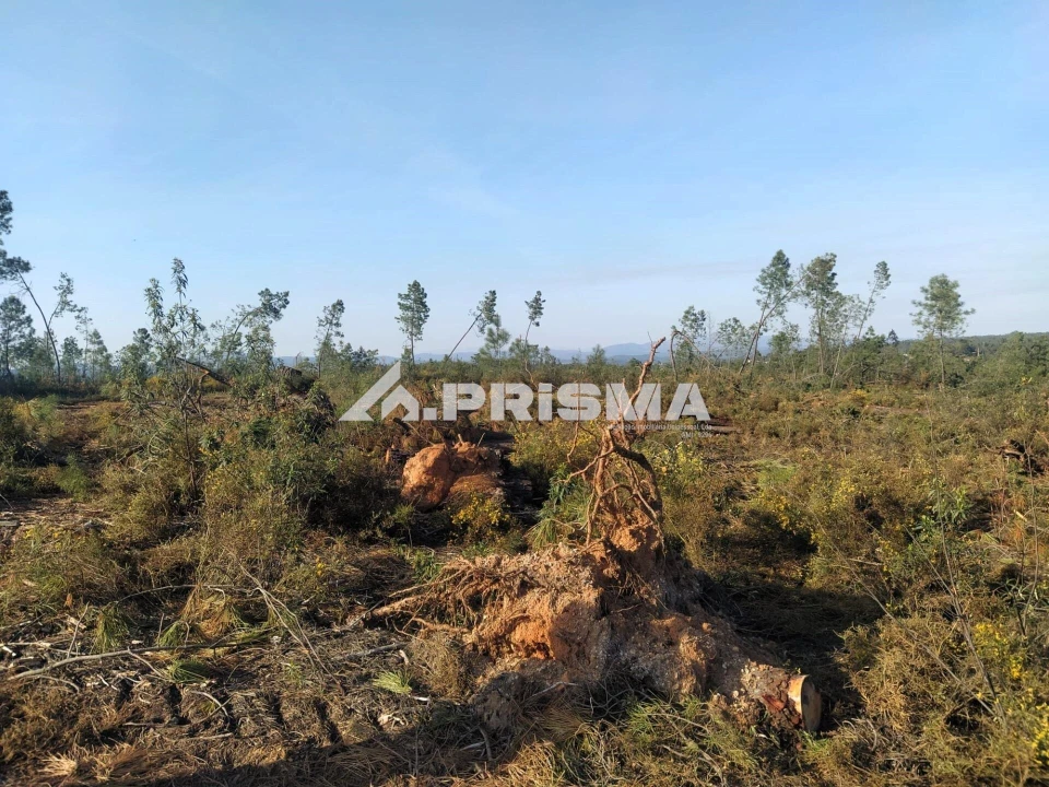Terreno para Venda em Sarzedas Foto 28