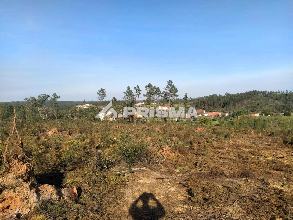 Terreno para Venda em Sarzedas Foto 30