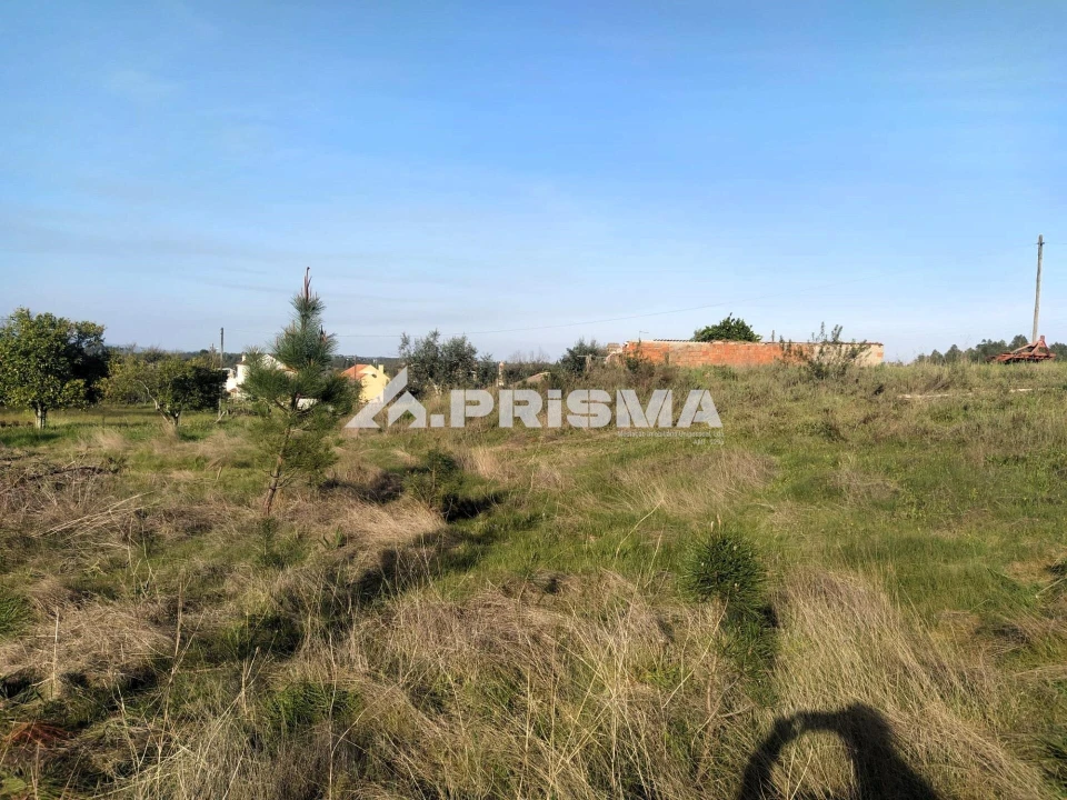 Terreno para Venda em Sarzedas Foto 2