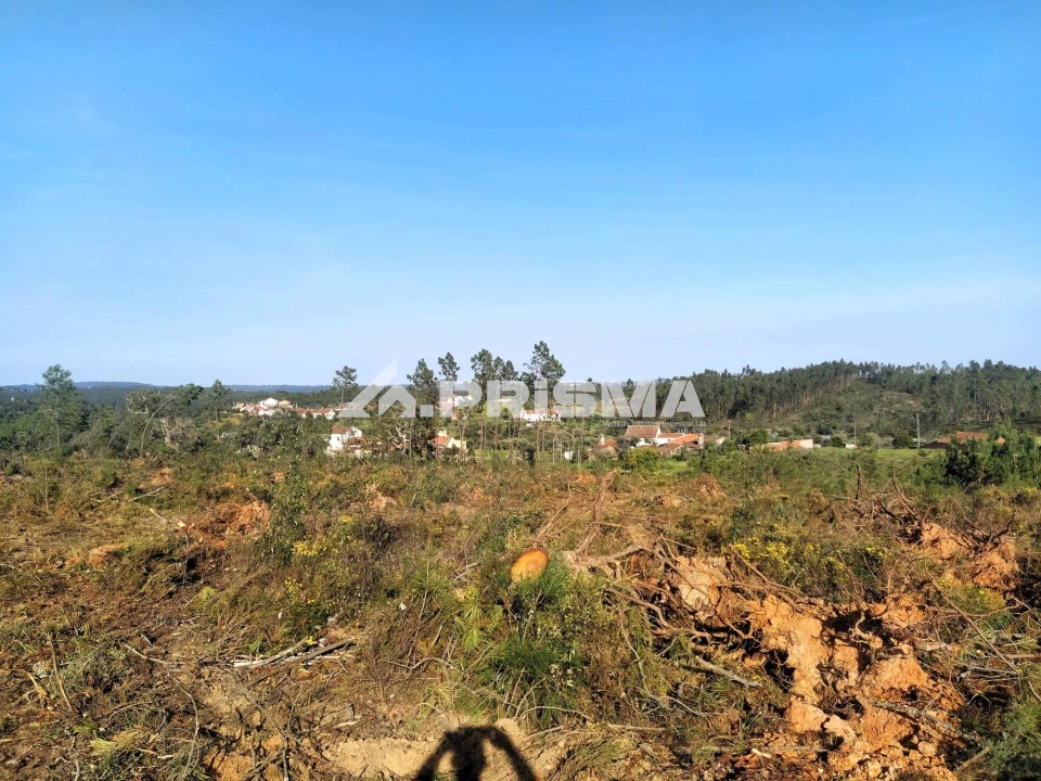 Terreno para Venda em Sarzedas Foto 34