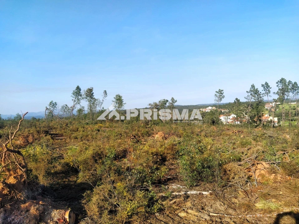 Terreno para Venda em Sarzedas Foto 29