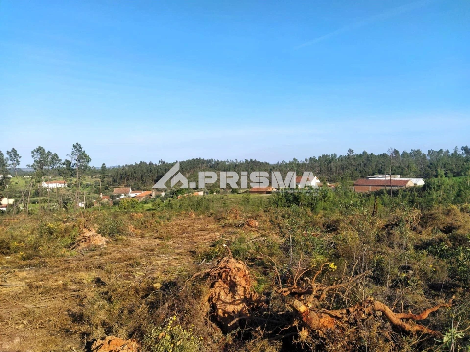 Terreno para Venda em Sarzedas Foto 32