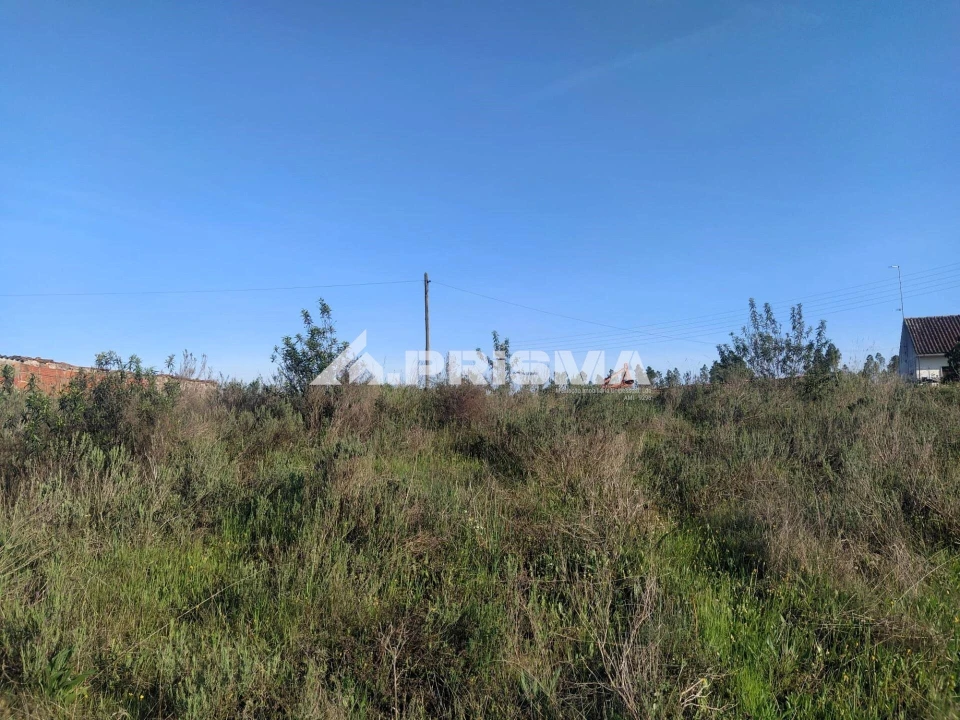 Terreno para Venda em Sarzedas Foto 11