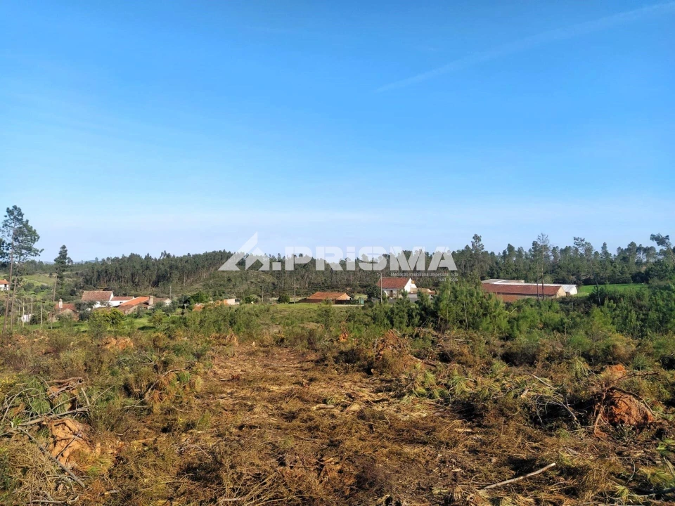 Terreno para Venda em Sarzedas Foto 25