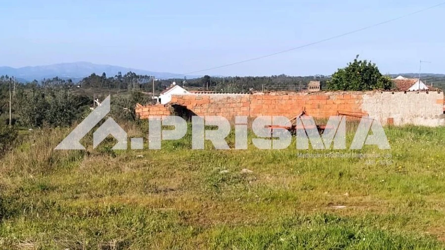 Terreno para Venda em Sarzedas