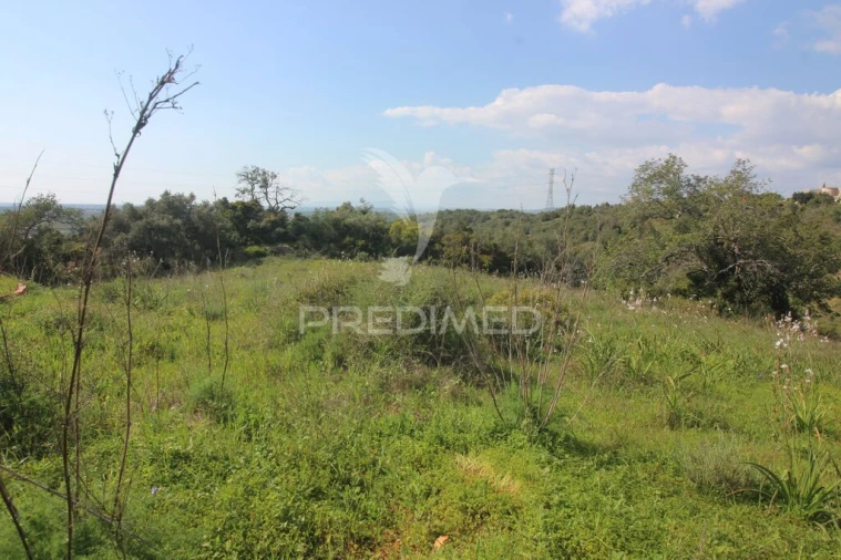 Moradia T3 para Venda em Algoz e Tunes Foto 17