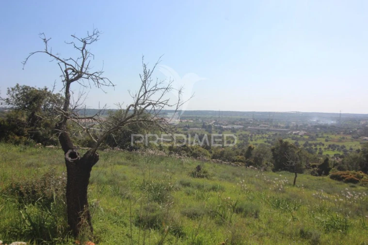 Moradia T3 para Venda em Algoz e Tunes Foto 13