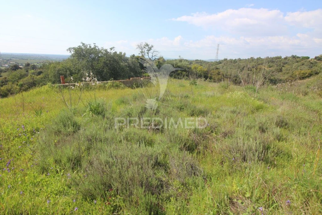 Moradia T3 para Venda em Algoz e Tunes Foto 10