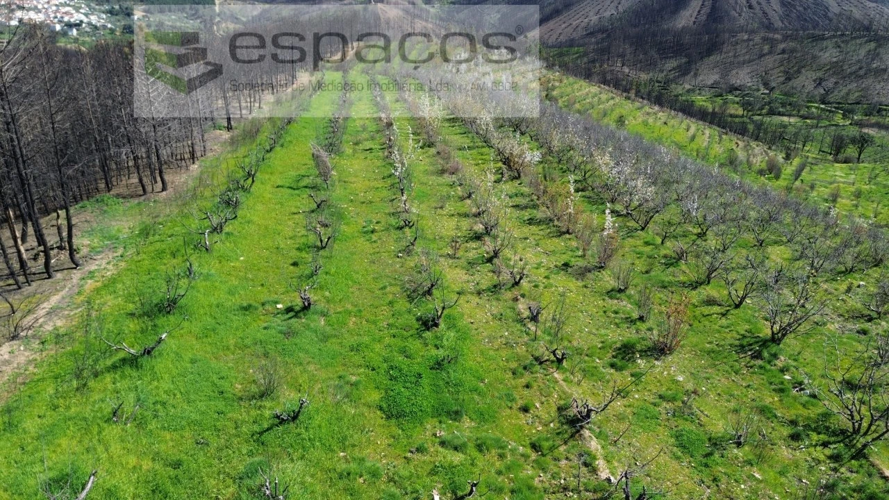 Terreno para Venda em Lavacolhos Foto 3